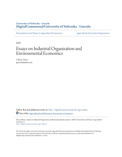 Essays on Industrial Organization and Environmental Economics