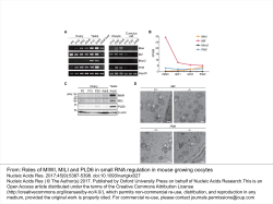 Roles of MIWI, MILI and PLD6 in small RNA regulation in mouse