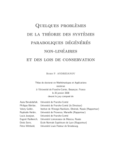 Quelques probl`emes de la théorie des syst`emes paraboliques