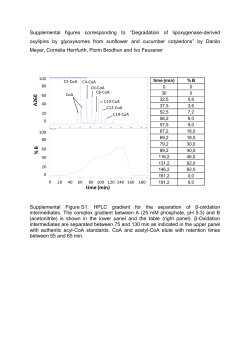 Supplemental figures corresponding to &ldquo;Degradation of