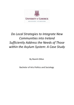 Do Local Strategies to Integrate New Communities into Ireland