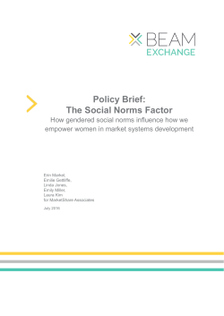 Policy Brief: The Social Norms Factor