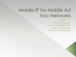 Mobile Ad hoc Network (MANET)