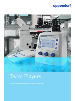 Team Players