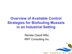 Overview of Available Control Strategies for Biofouling Mussels in
