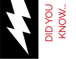 Strange Odds Palm Cards - Youth Decide NY Youth Decide NY