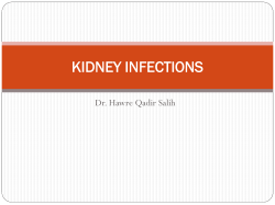 KIDNEY INFECTIONS