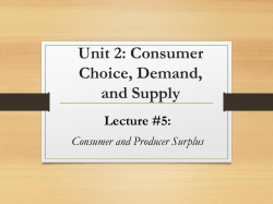 Consumer and Producer Surplus