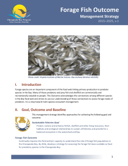 Forage Fish Outcome - Chesapeake Bay Program