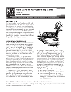 Field Care of Harvested Big Game