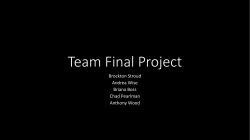 Team Final Project