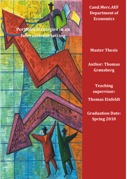 Portfolio Strategies in an International setting