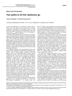 Two paths to let the replisome go