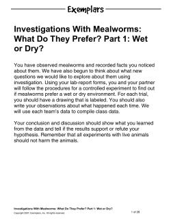 Investigations With Mealworms: What Do They Prefer? Part 1: Wet or