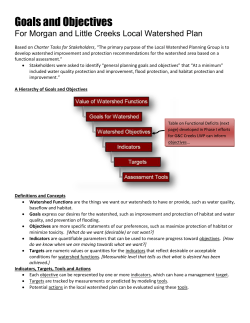 Example Goals and Objectives Document