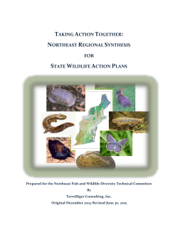 Northeast Regional Conservation Synthesis