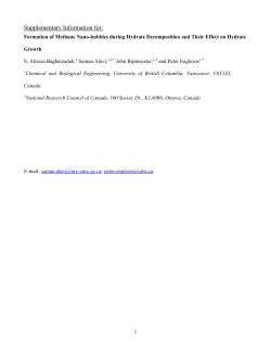 Bagherzadeh_Nanobubble_Main Text_JCP SI