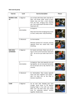 Back exercise group Exercise Level Exercise description Picture