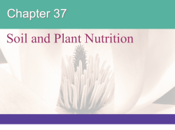 Lecture presentation