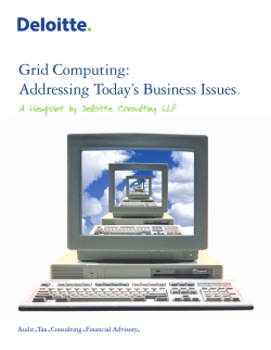 Grid Computing: Addressing Today`s Business Issues.