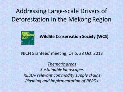 Addressing Large-scale Drivers of Deforestation in the Mekong
