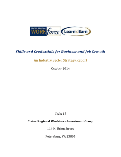 Industry Sector Strategy Report