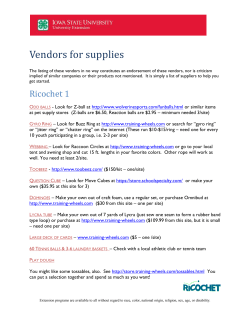 Ricochet: An Extreme Leadership Adventure