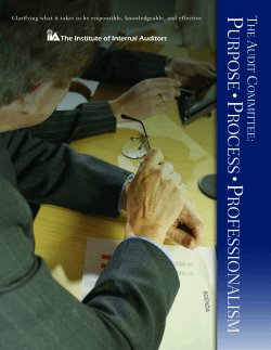 The Audit Committee - Global IIA - The Institute of Internal Auditors