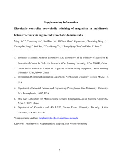 Supplementary Information Electrically controlled non