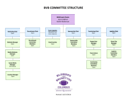 bvb committee structure