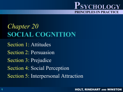 CHAPTER 20 SOCIAL COGNITION