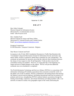 DRAFT WITSA Comments