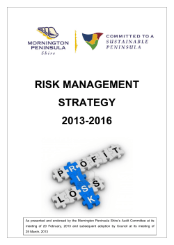 risk management strategy 2013-2016