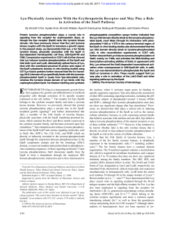 Lyn Physically Associates With the Erythropoietin Receptor and May