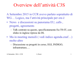 BaBar Calcolo: stato e sblocco sj