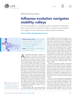 Influenza evolution navigates stability valleys