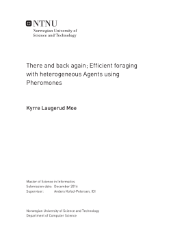 Efficient foraging with heterogeneous Agents using