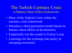 The Turkish Currency Crisis -A Balance Sheet Effect