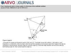 Slide - Journal of Vision