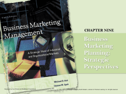 Business Marketing Planning: Strategic Perspectives