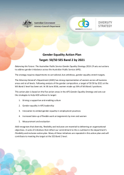 Gender Equality Action Plan - Attorney