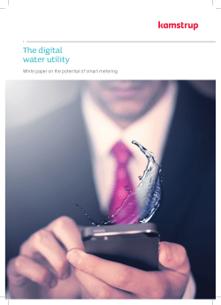 The digital water utility - The Smart Water Networks Forum