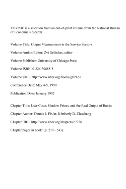 User Costs, Shadow Prices, and the Real Output of Banks