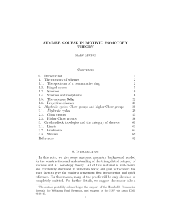 A summer course in motivic homotopy theory
