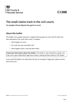 EX306 The small claims track in the civil courts