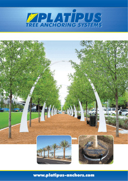 Platipus Tree Brochure - 010816.indd