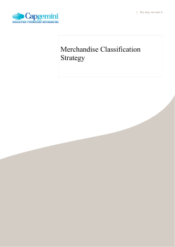 Merchandise Classification Strategy