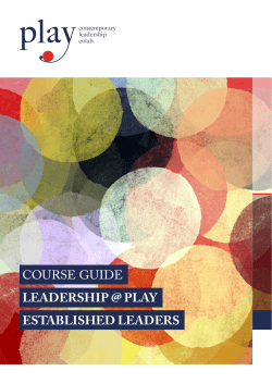 course guide leadership @ play established leaders