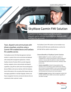 SkyWave Garmin FMI Solution