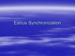 Estrus Synchronization
